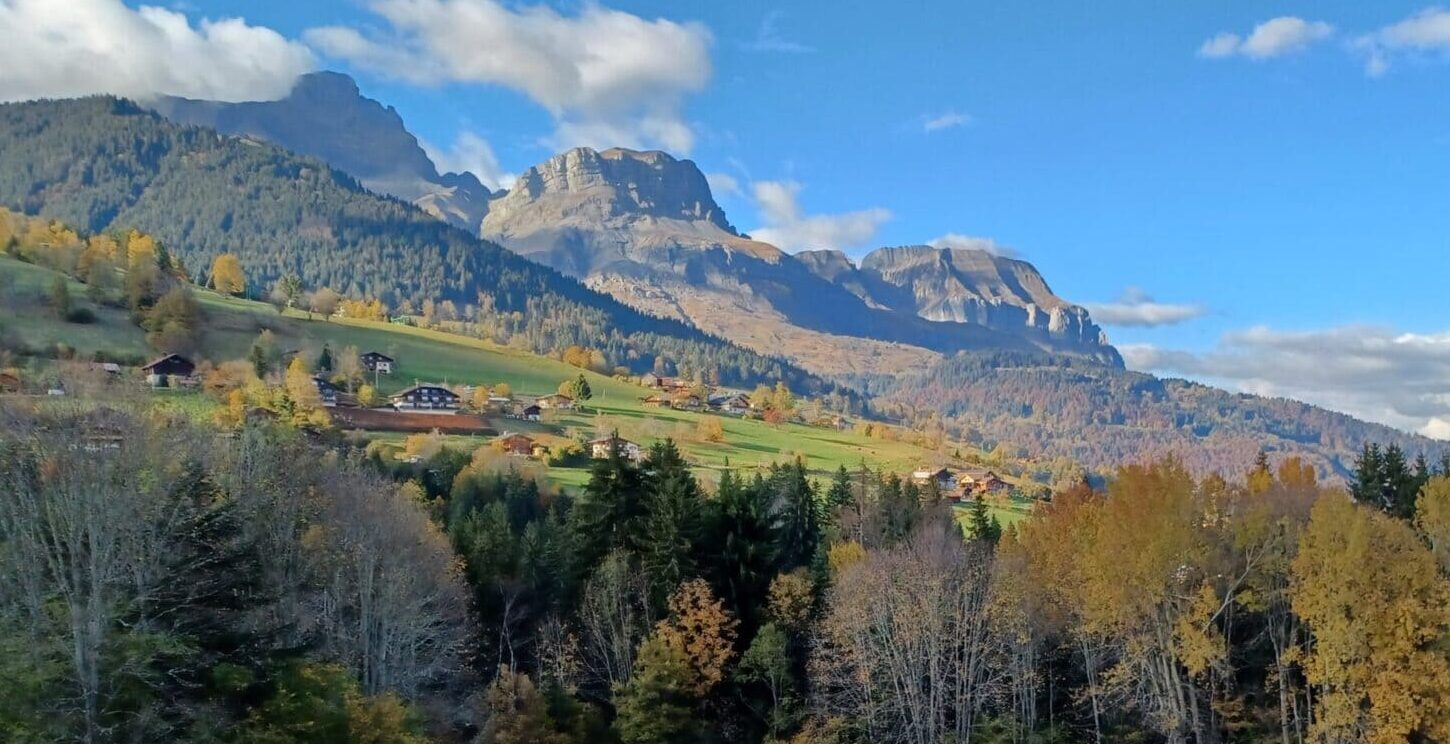 FORÊT