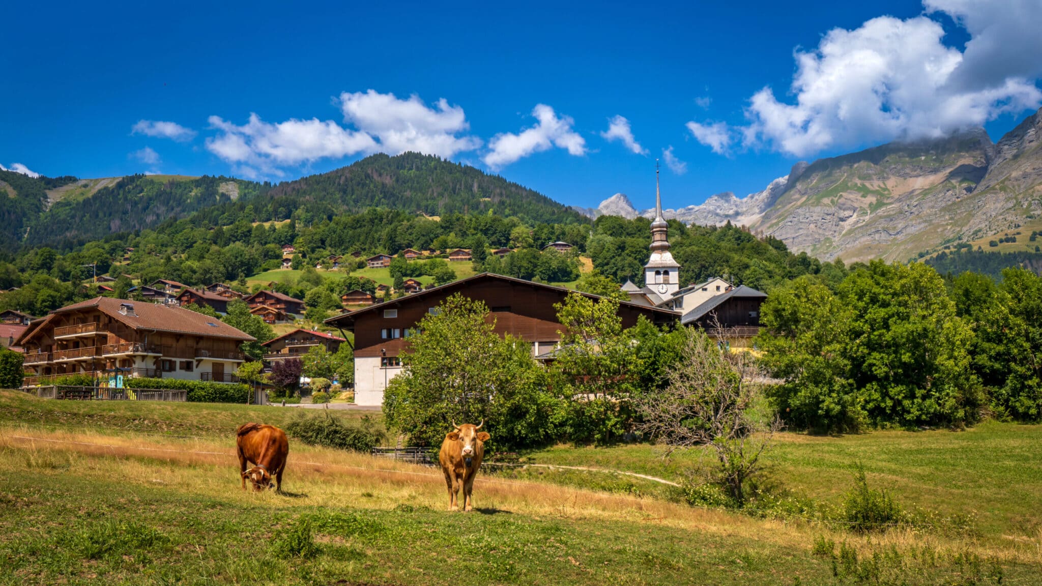 AGRICULTURE