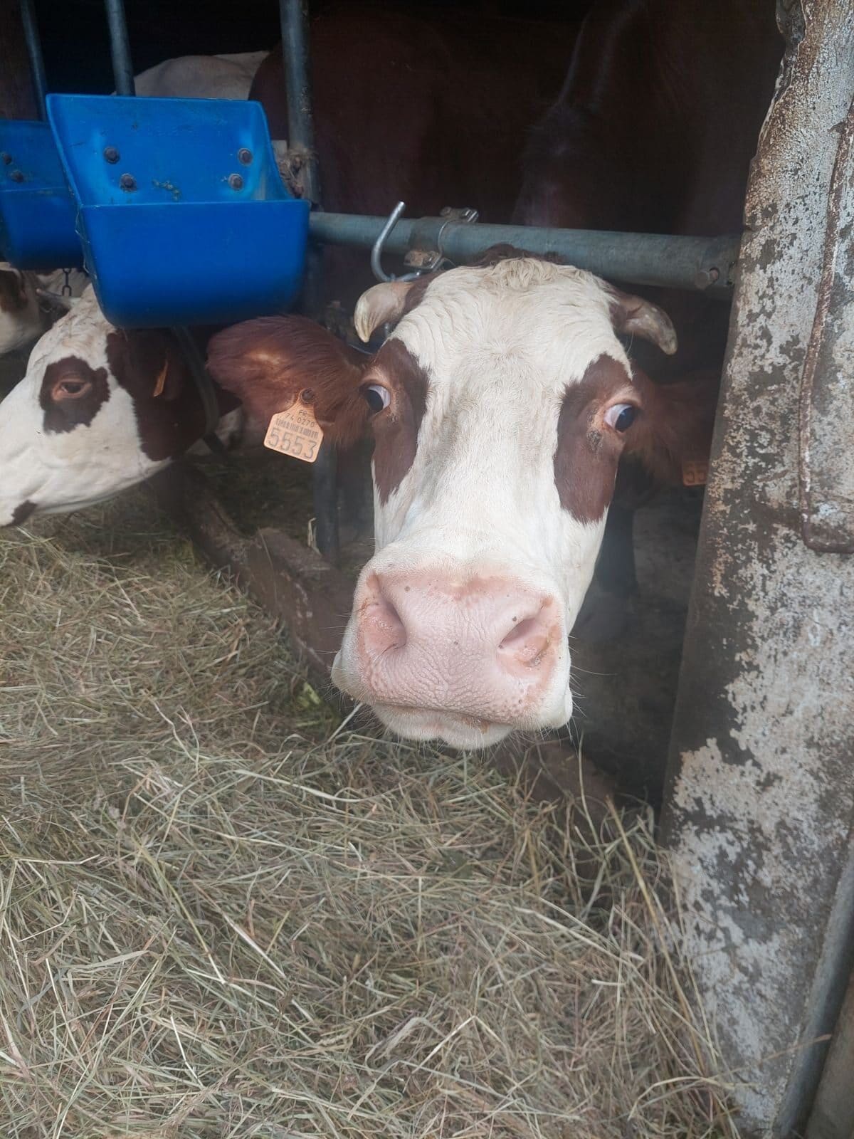 formation agriculture PAEC MAEC pays du mont-blanc alpage agriculteurs protection environnement