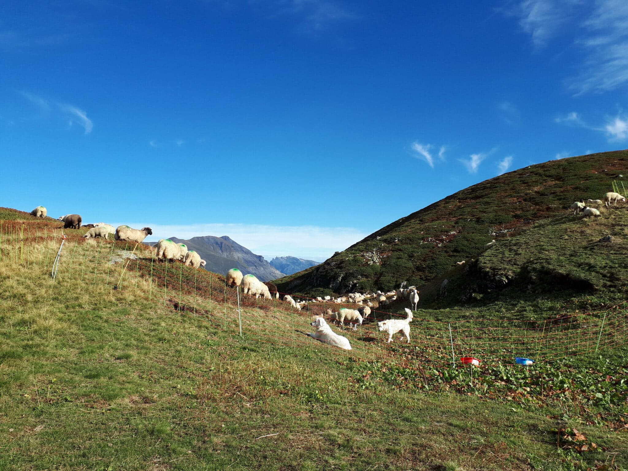 formation agriculture PAEC MAEC pays du mont-blanc alpage agriculteurs protection environnement