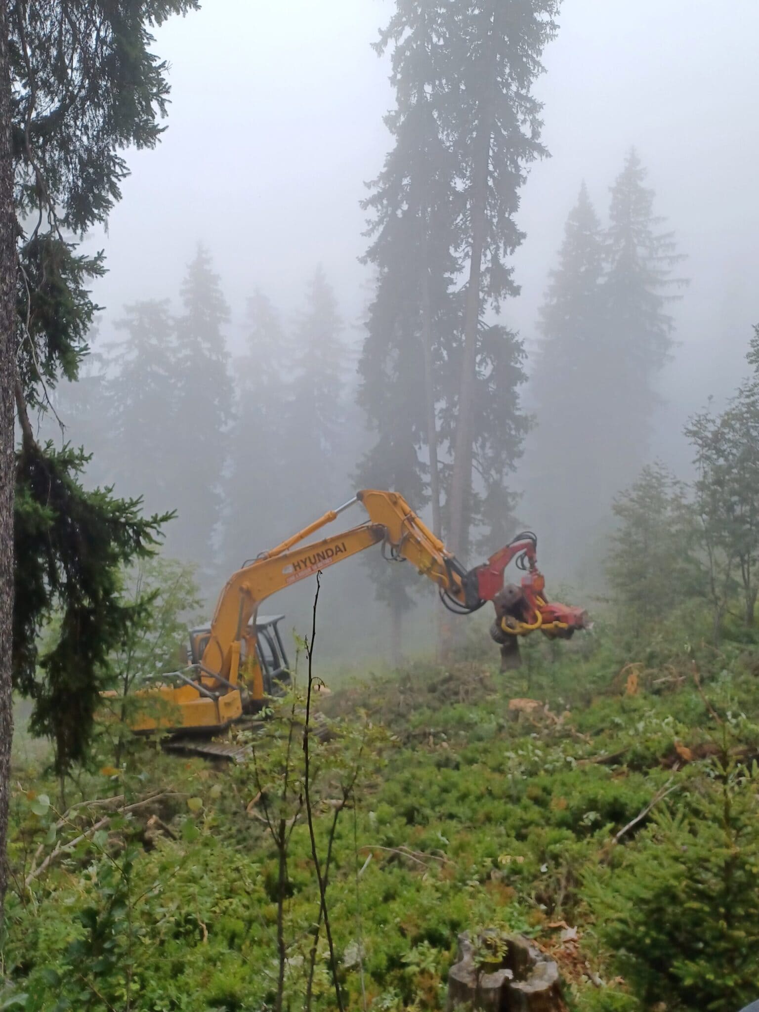 mobilsation bois pays du mont-blanc forêt
