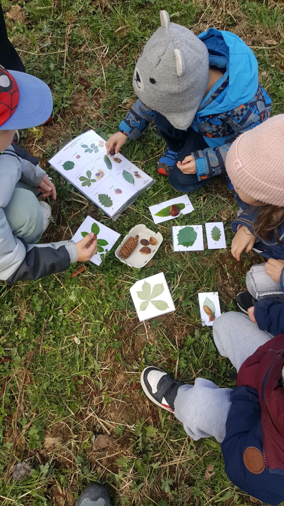 animation nature sensibilisation ccpmb pays du mont-blanc environnement scolaire éducation