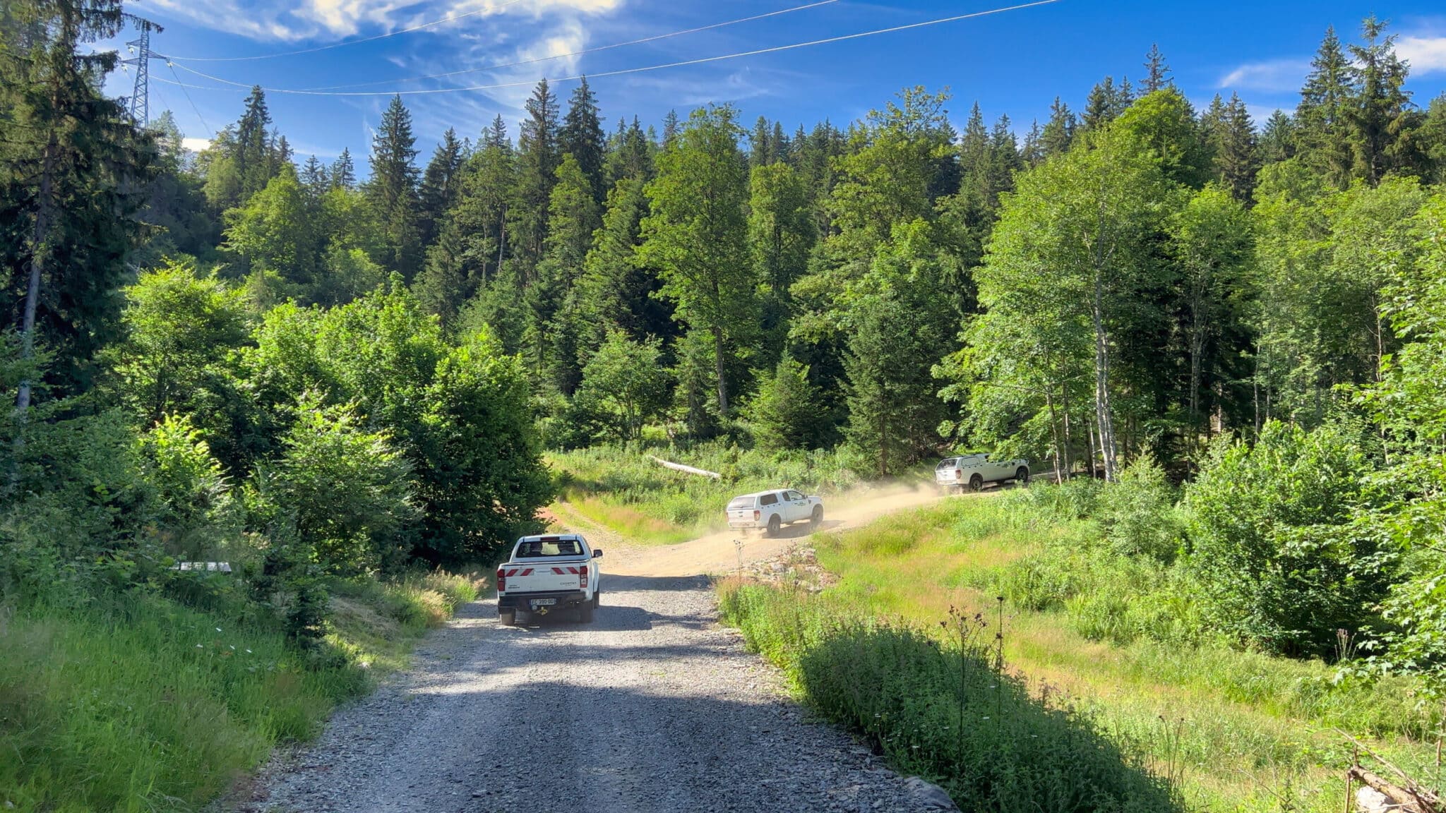 forêt route forestière pays du mont blanc
