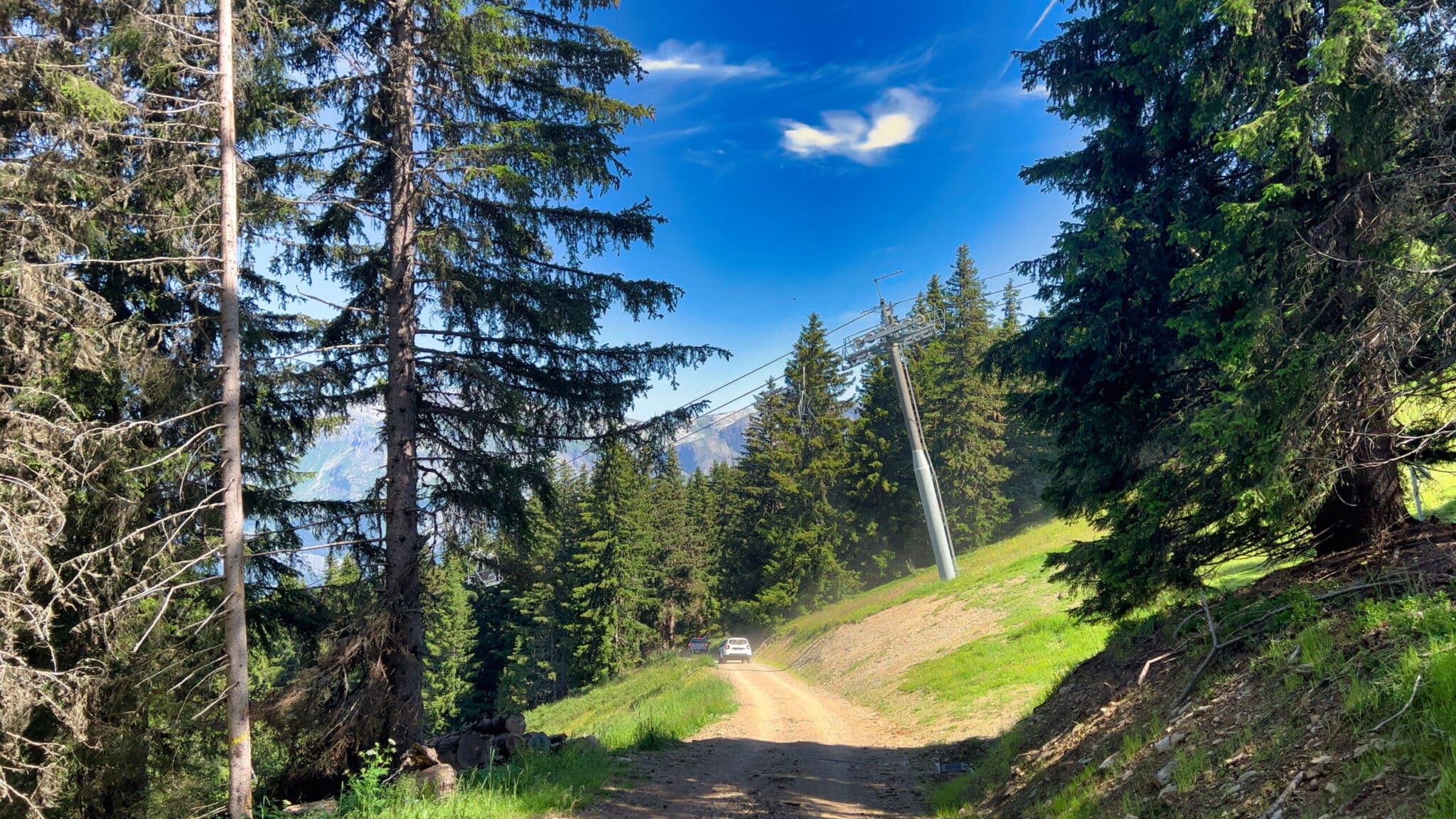 forêt pays du mont blanc
