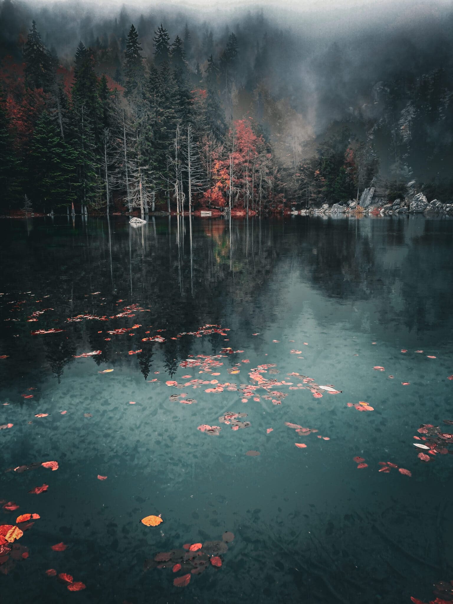 eau lac ressource pays du mont-blanc lac-vert