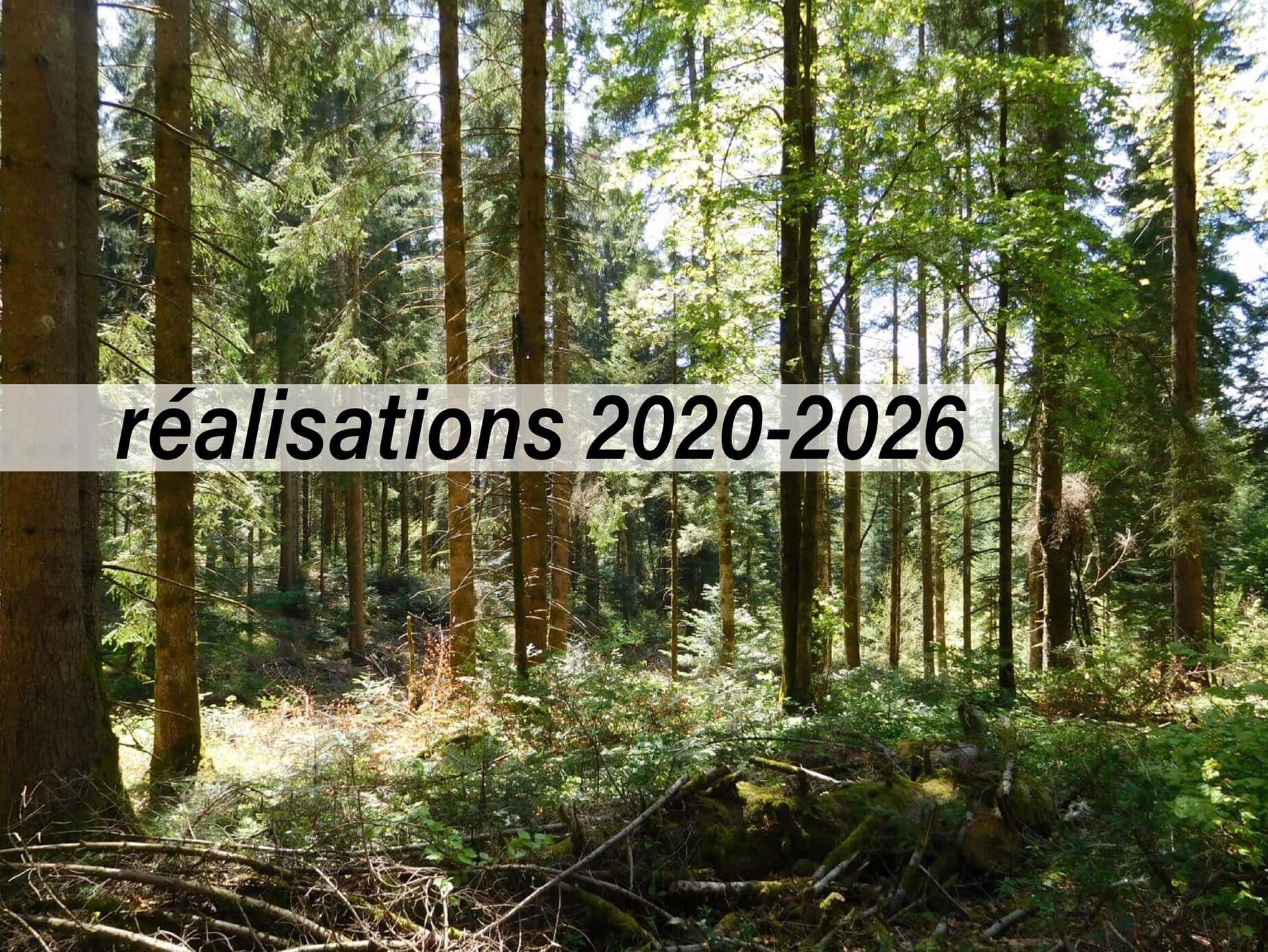 Forêt