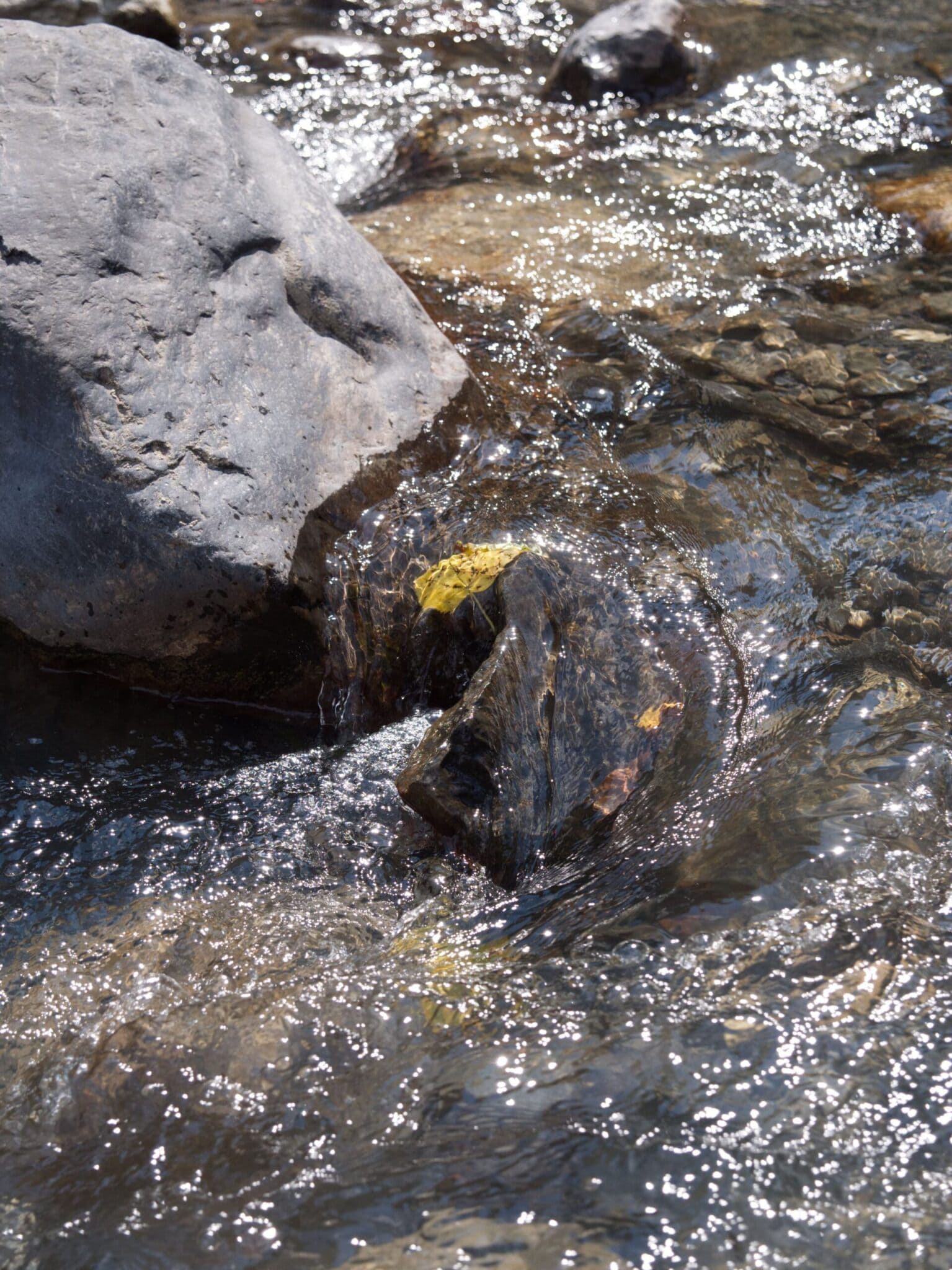 ressource eau pays du mont-blanc